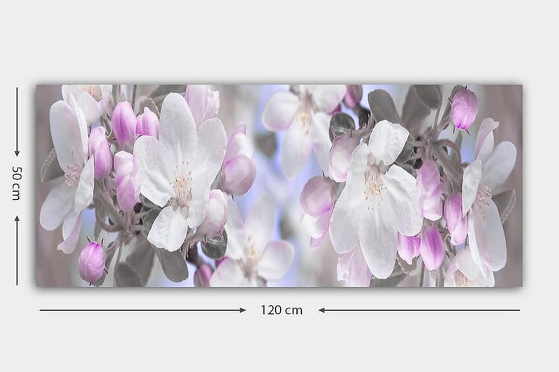 Canvasbilde YTY Floral & Botanical Flerfarget - 120x50 cm - Innredning - Bilder & kunst - Lerretsbilder