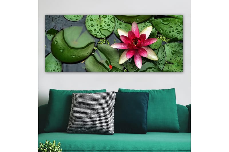 Canvasbilde YTY Floral & Botanical Flerfarget - 120x50 cm - Innredning - Bilder & kunst - Lerretsbilder