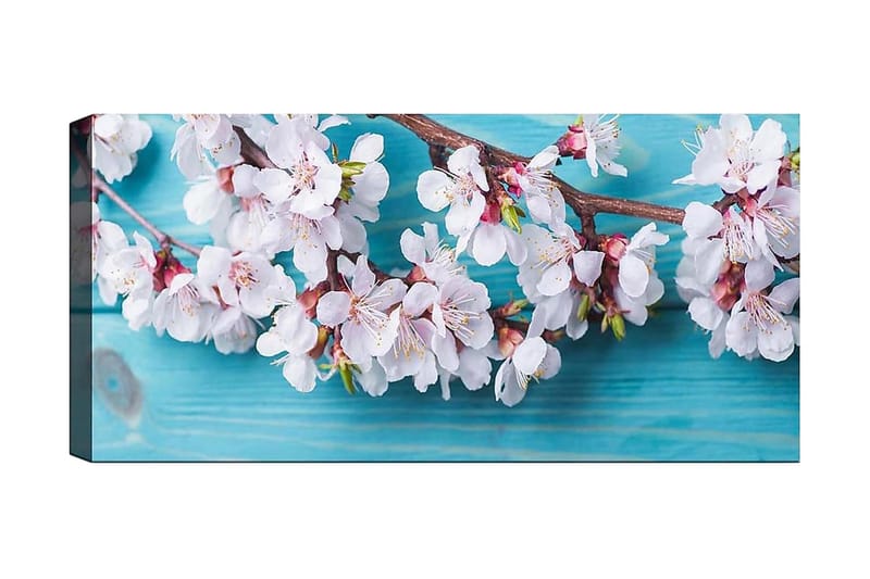 Canvasbilde YTY Floral & Botanical Flerfarget, 120x50 cm