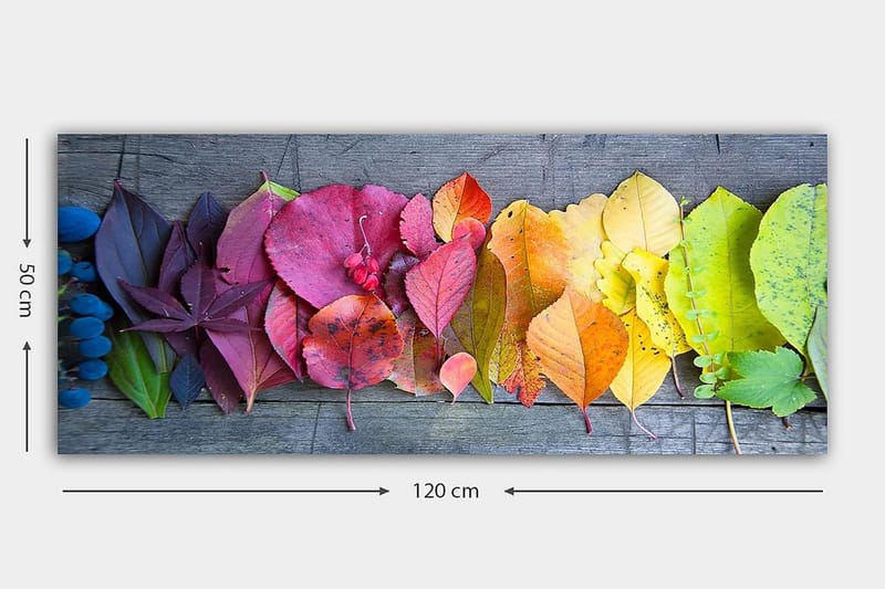 Canvasbilde YTY Floral & Botanical Flerfarget - 120x50 cm - Innredning - Bilder & kunst - Lerretsbilder