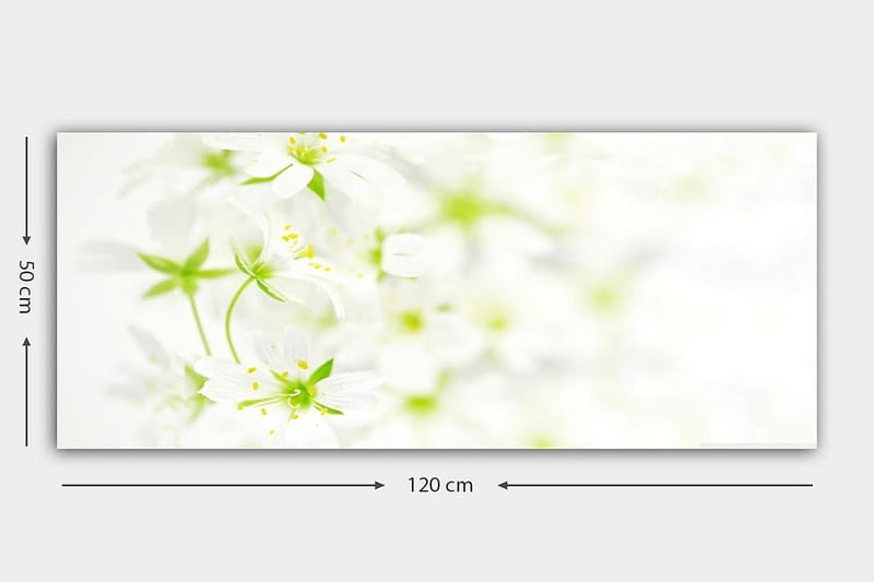 Canvasbilde YTY Floral & Botanical Flerfarget - 120x50 cm - Innredning - Bilder & kunst - Lerretsbilder