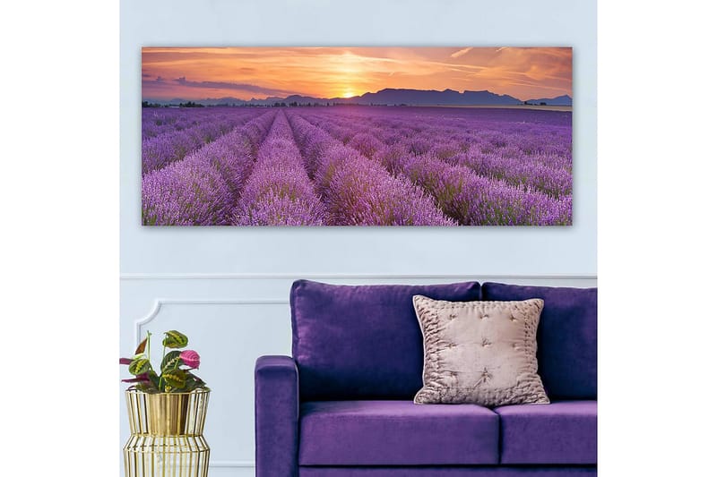 Canvasbilde YTY Floral & Botanical Flerfarget - 120x50 cm - Innredning - Bilder & kunst - Lerretsbilder