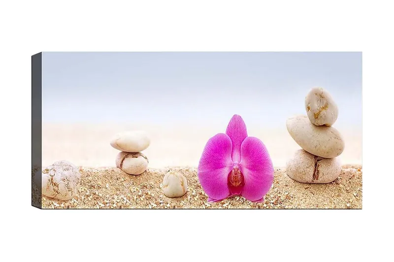 Canvasbilde YTY Floral & Botanical Flerfarget - 120x50 cm - Innredning - Bilder & kunst - Lerretsbilder