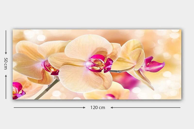 Canvasbilde YTY Floral & Botanical Flerfarget - 120x50 cm - Innredning - Bilder & kunst - Lerretsbilder