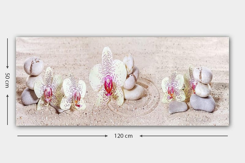 Canvasbilde YTY Floral & Botanical Flerfarget - 120x50 cm - Innredning - Bilder & kunst - Lerretsbilder