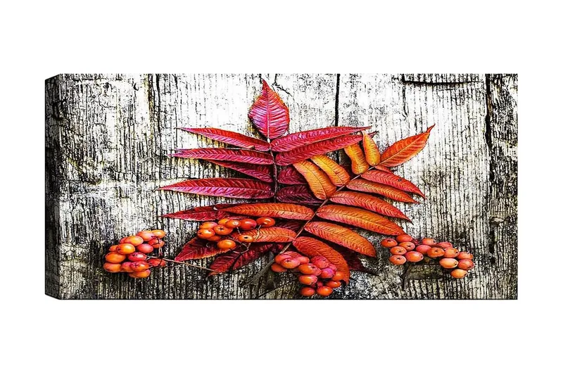 Canvasbilde YTY Floral & Botanical Flerfarget, 120x50 cm