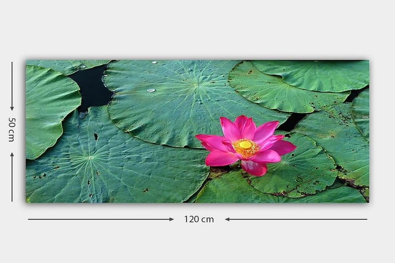 Canvasbilde YTY Floral & Botanical Flerfarget - 120x50 cm - Innredning - Bilder & kunst - Lerretsbilder