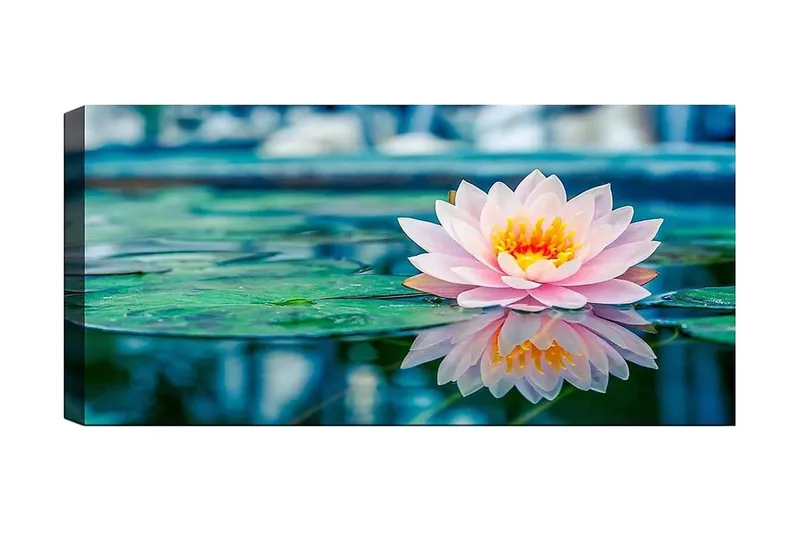 Canvasbilde YTY Floral & Botanical Flerfarget, 120x50 cm