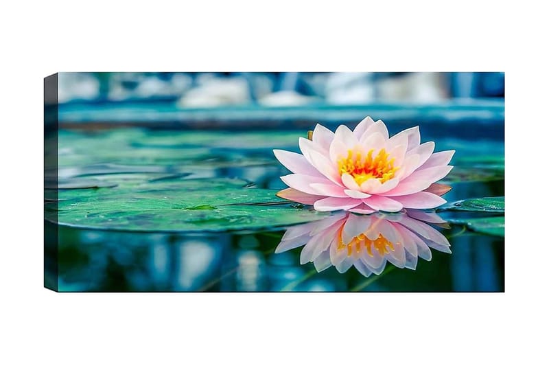 Canvasbilde YTY Floral & Botanical Flerfarget - 120x50 cm - Innredning - Bilder & kunst - Lerretsbilder