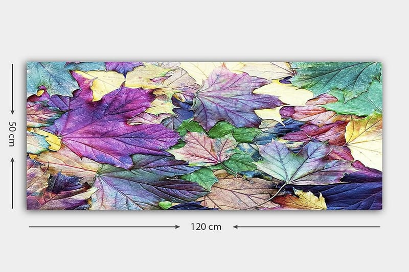 Canvasbilde YTY Floral & Botanical Flerfarget - 120x50 cm - Innredning - Bilder & kunst - Lerretsbilder