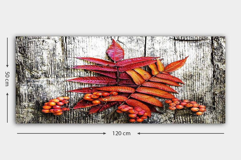 Canvasbilde YTY Floral & Botanical Flerfarget - 120x50 cm - Innredning - Bilder & kunst - Lerretsbilder