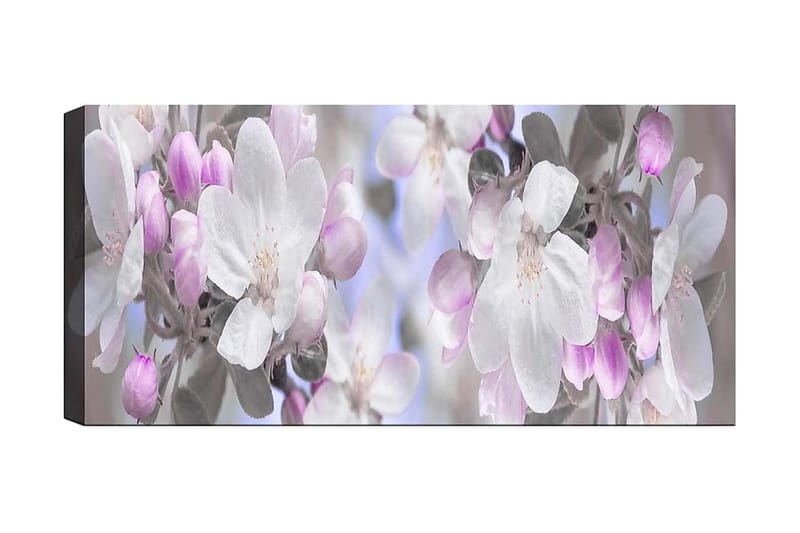 Canvasbilde YTY Floral & Botanical Flerfarget, 120x50 cm