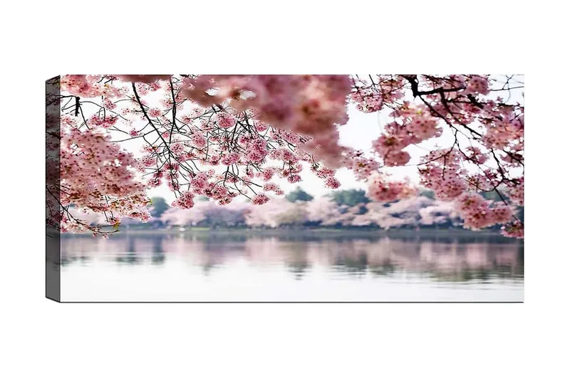 Canvasbilde YTY Floral & Botanical Flerfarget, 120x50 cm