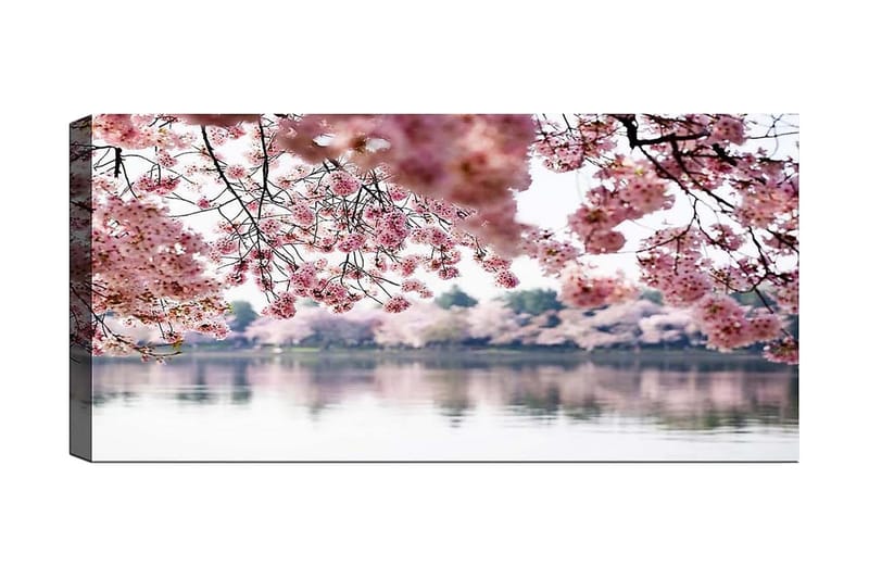 Canvasbilde YTY Floral & Botanical Flerfarget, 120x50 cm