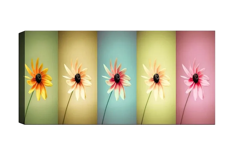 Canvasbilde YTY Floral & Botanical Flerfarget, 120x50 cm