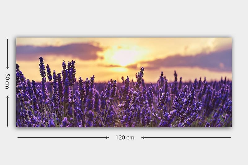 Canvasbilde YTY Floral & Botanical Flerfarget - 120x50 cm - Innredning - Bilder & kunst - Lerretsbilder