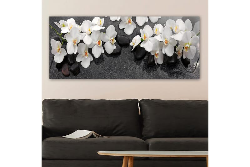 Canvasbilde YTY Floral & Botanical Flerfarget - 120x50 cm - Innredning - Bilder & kunst - Lerretsbilder