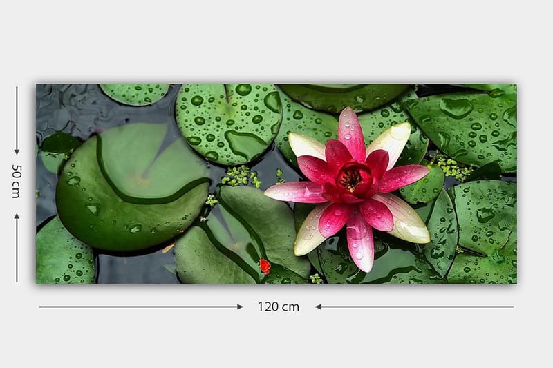 Canvasbilde YTY Floral & Botanical Flerfarget - 120x50 cm - Innredning - Bilder & kunst - Lerretsbilder