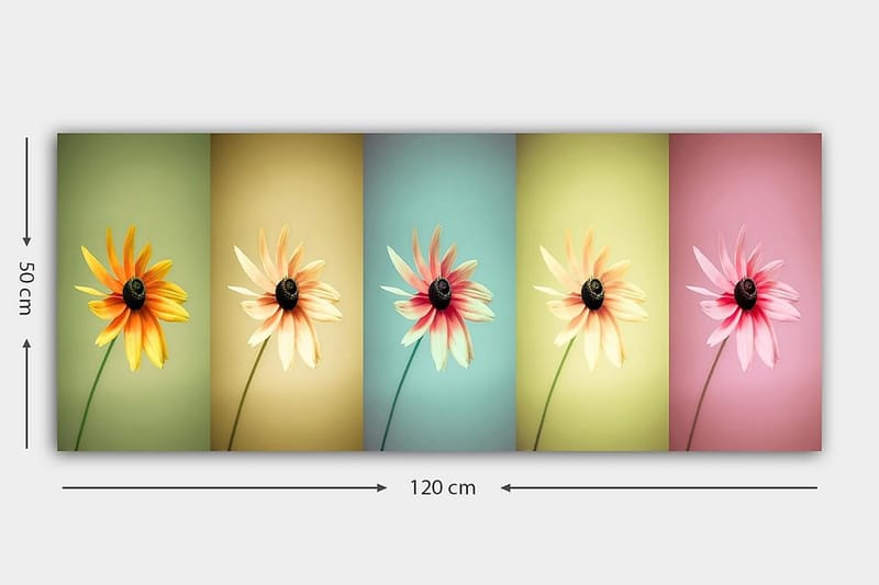 Canvasbilde YTY Floral & Botanical Flerfarget - 120x50 cm - Innredning - Bilder & kunst - Lerretsbilder
