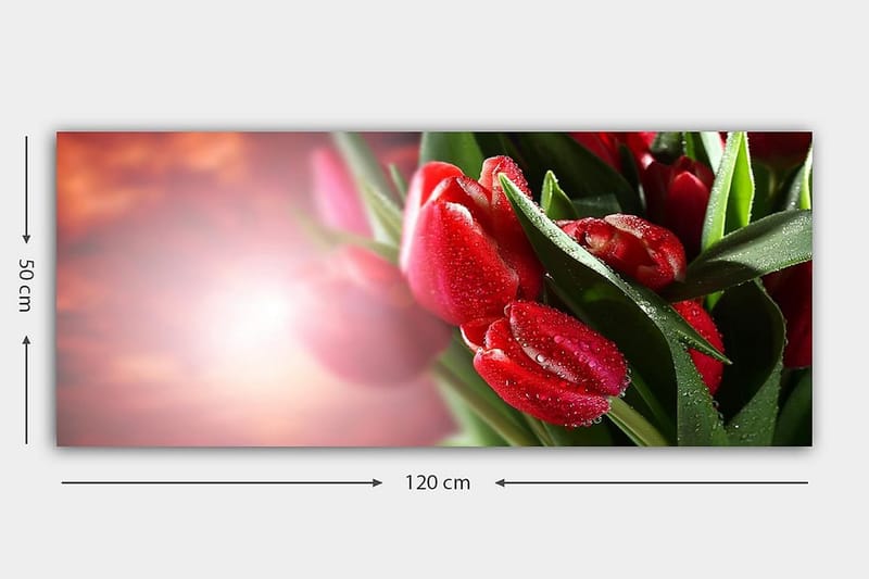 Canvasbilde YTY Floral & Botanical Flerfarget - 120x50 cm - Innredning - Bilder & kunst - Lerretsbilder