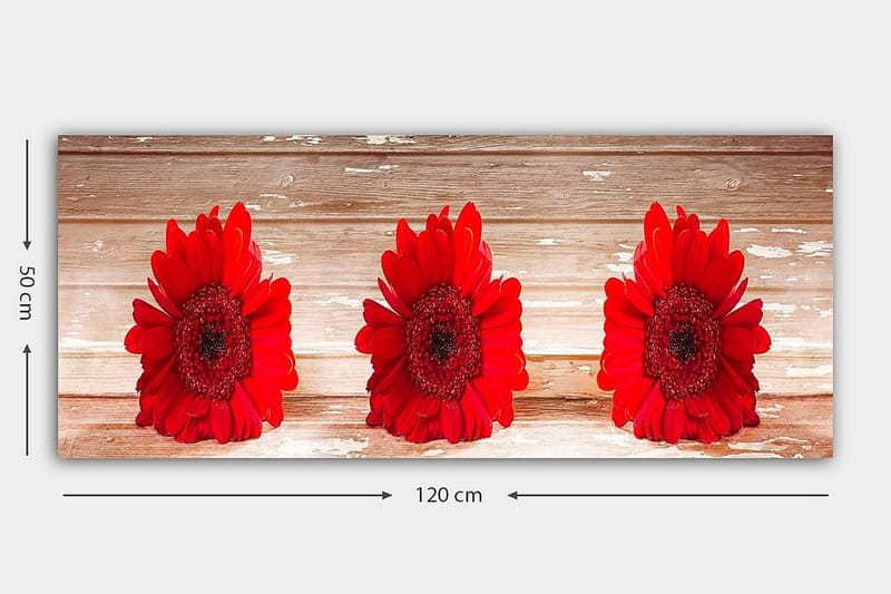 Canvasbilde YTY Floral & Botanical Flerfarget - 120x50 cm - Innredning - Bilder & kunst - Lerretsbilder