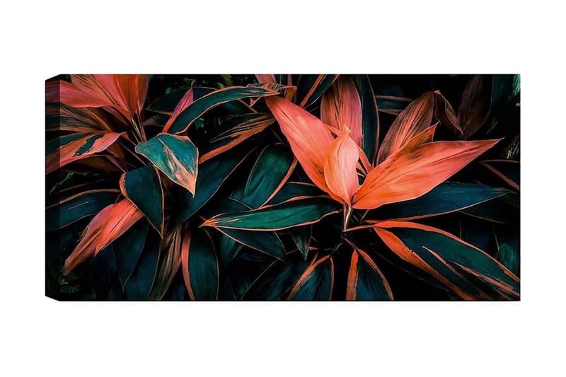 Canvasbilde YTY Floral & Botanical Flerfarget, 120x50 cm