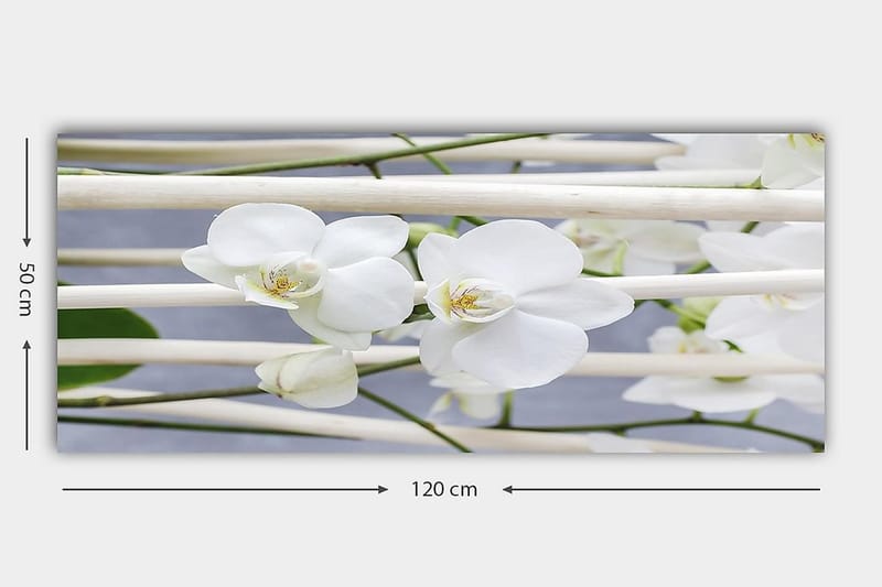 Canvasbilde YTY Floral & Botanical Flerfarget - 120x50 cm - Innredning - Bilder & kunst - Lerretsbilder