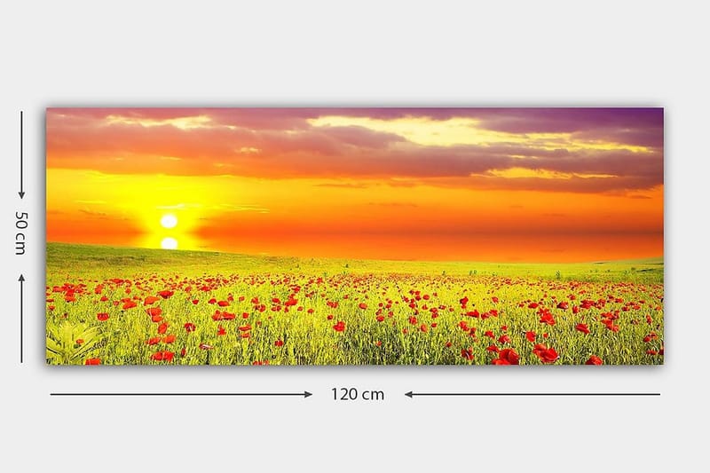Canvasbilde YTY Floral & Botanical Flerfarget - 120x50 cm - Innredning - Bilder & kunst - Lerretsbilder