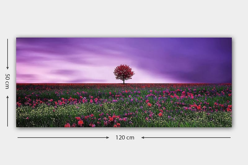 Canvasbilde YTY Floral & Botanical Flerfarget - 120x50 cm - Innredning - Bilder & kunst - Lerretsbilder