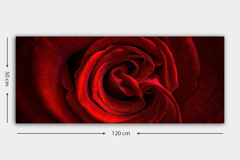 Canvasbilde YTY Floral & Botanical Flerfarget - 120x50 cm - Innredning - Bilder & kunst - Lerretsbilder