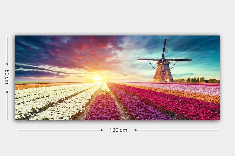 Canvasbilde YTY Floral & Botanical Flerfarget - 120x50 cm - Innredning - Bilder & kunst - Lerretsbilder