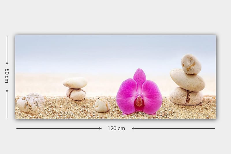 Canvasbilde YTY Floral & Botanical Flerfarget - 120x50 cm - Innredning - Bilder & kunst - Lerretsbilder