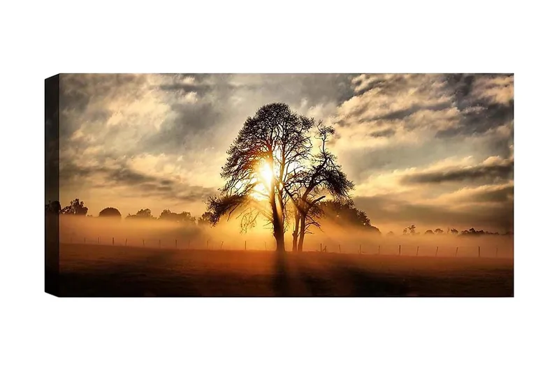 Canvasbilde YTY Landscape & Nature Flerfarget, 120x50 cm