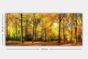 Canvasbilde YTY Landscape & Nature Flerfarget - 120x50 cm - Innredning - Bilder & kunst - Lerretsbilder
