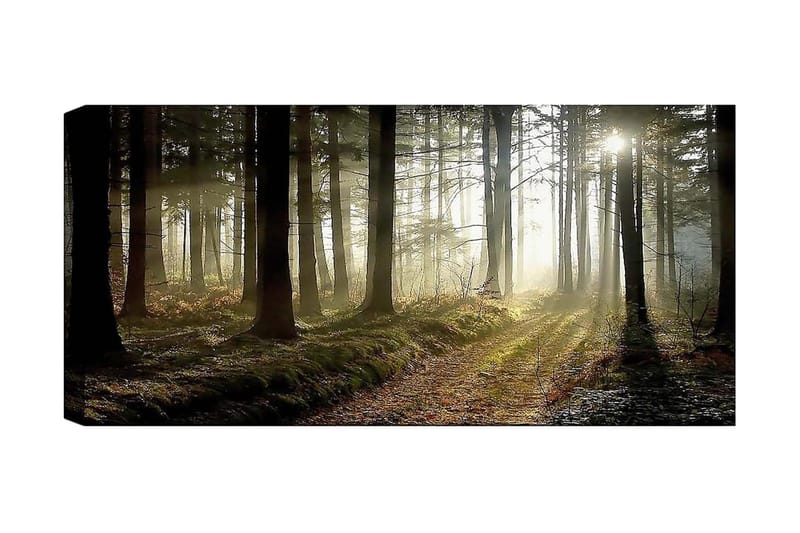 Canvasbilde YTY Landscape & Nature Flerfarget - 120x50 cm - Innredning - Bilder & kunst - Lerretsbilder