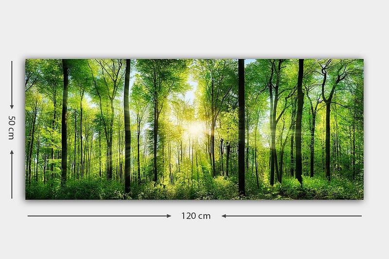 Canvasbilde YTY Landscape & Nature Flerfarget - 120x50 cm - Innredning - Bilder & kunst - Lerretsbilder