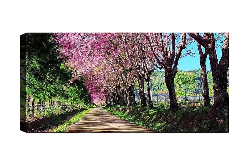 Canvasbilde YTY Landscape & Nature Flerfarget - 120x50 cm - Innredning - Bilder & kunst - Lerretsbilder