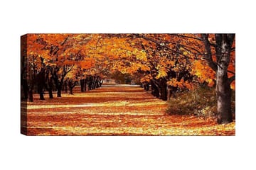 Canvasbilde YTY Landscape & Nature Flerfarget - 120x50 cm - Innredning - Bilder & kunst - Lerretsbilder
