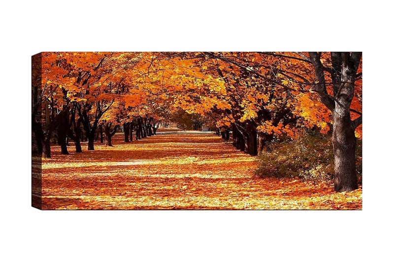 Canvasbilde YTY Landscape & Nature Flerfarget - 120x50 cm - Innredning - Bilder & kunst - Lerretsbilder