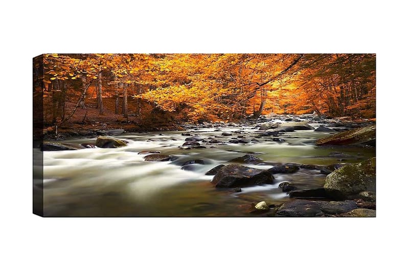 Canvasbilde YTY Landscape & Nature Flerfarget - 120x50 cm - Innredning - Bilder & kunst - Lerretsbilder