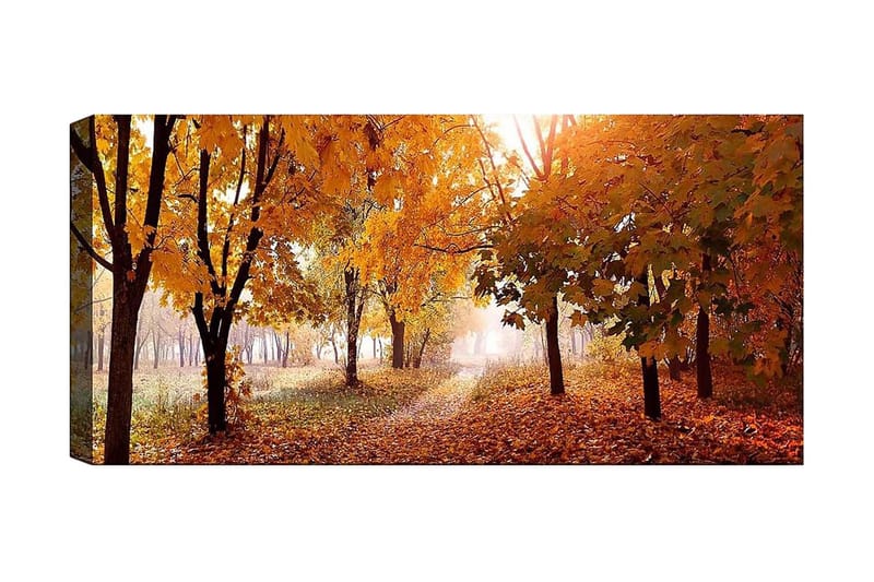 Canvasbilde YTY Landscape & Nature Flerfarget - 120x50 cm - Innredning - Bilder & kunst - Lerretsbilder