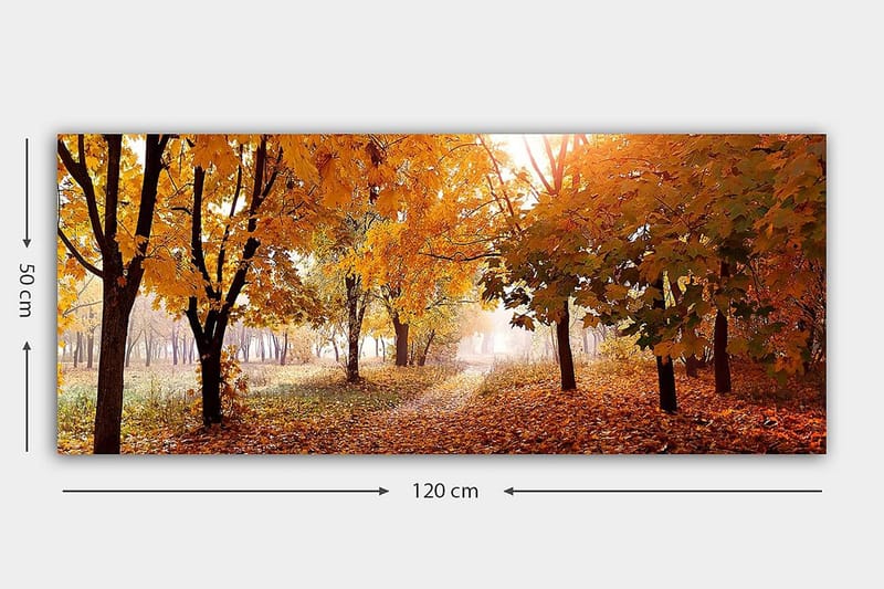 Canvasbilde YTY Landscape & Nature Flerfarget - 120x50 cm - Innredning - Bilder & kunst - Lerretsbilder