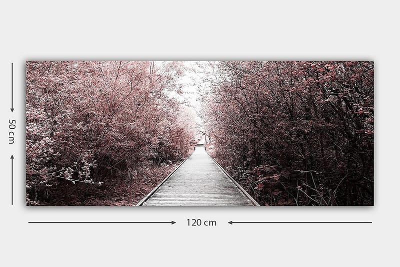 Canvasbilde YTY Landscape & Nature Flerfarget - 120x50 cm - Innredning - Bilder & kunst - Lerretsbilder