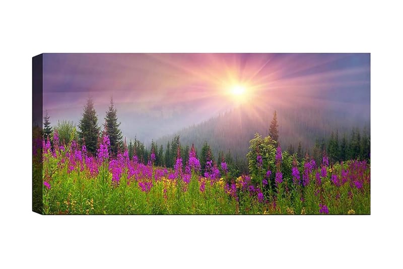 Canvasbilde YTY Landscape & Nature Flerfarget - 120x50 cm - Innredning - Bilder & kunst - Lerretsbilder