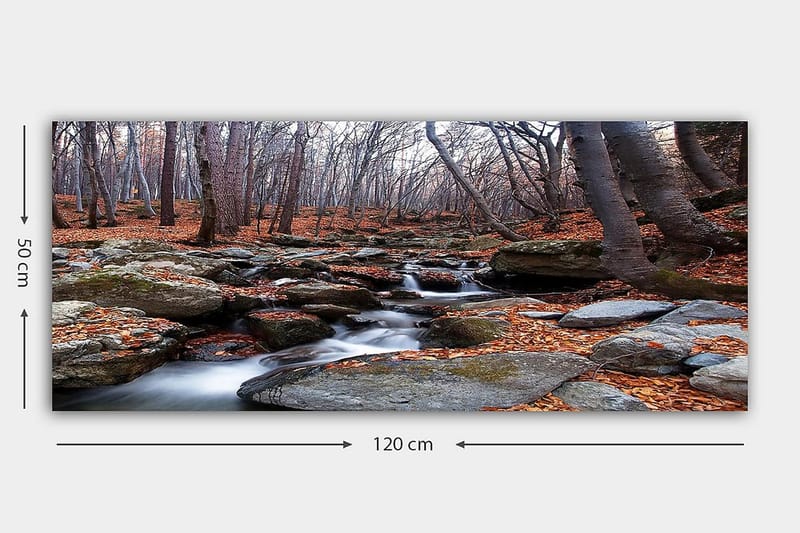 Canvasbilde YTY Landscape & Nature Flerfarget - 120x50 cm - Innredning - Bilder & kunst - Lerretsbilder