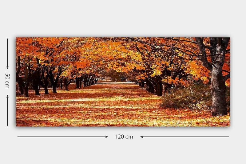 Canvasbilde YTY Landscape & Nature Flerfarget - 120x50 cm - Innredning - Bilder & kunst - Lerretsbilder