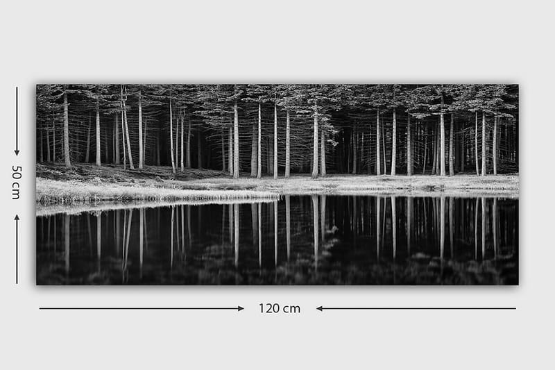 Canvasbilde YTY Landscape & Nature Flerfarget - 120x50 cm - Innredning - Bilder & kunst - Lerretsbilder