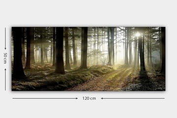 Canvasbilde YTY Landscape & Nature Flerfarget - 120x50 cm - Innredning - Bilder & kunst - Lerretsbilder