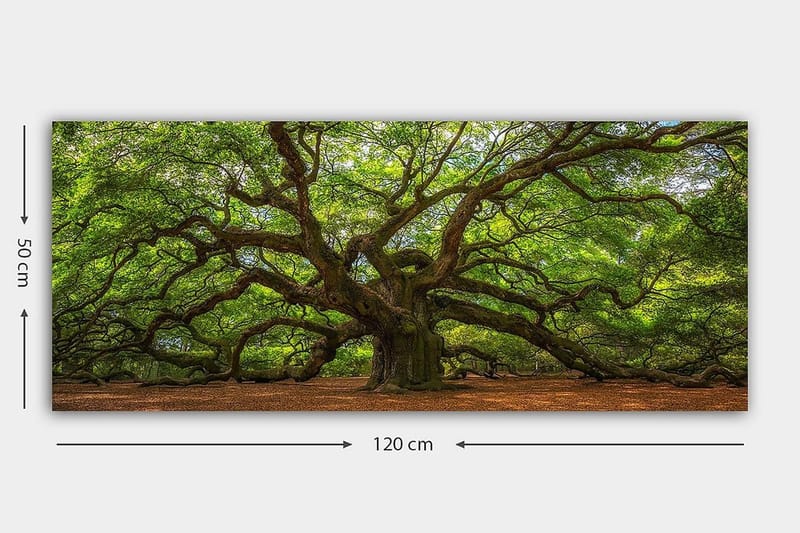 Canvasbilde YTY Landscape & Nature Flerfarget - 120x50 cm - Innredning - Bilder & kunst - Lerretsbilder