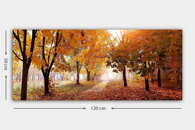 Canvasbilde YTY Landscape & Nature Flerfarget - 120x50 cm - Innredning - Bilder & kunst - Lerretsbilder